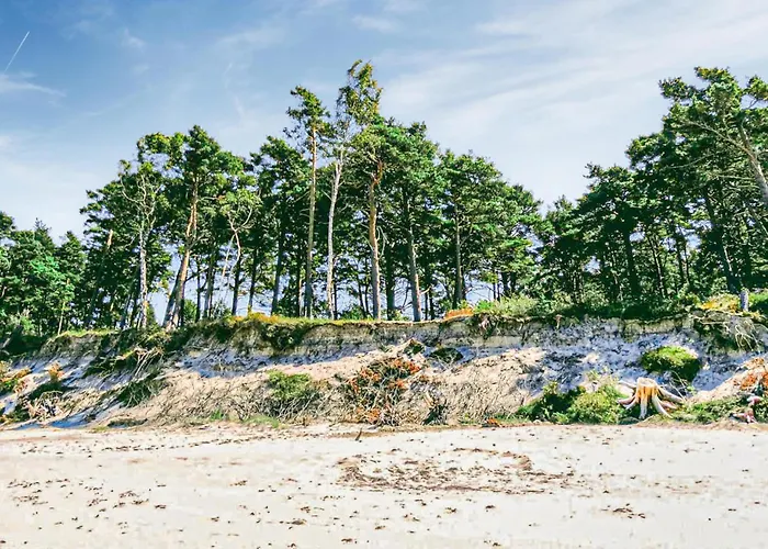 Stunning In With Wifi