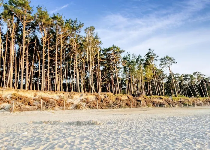 Semesterbostad Stunning In With Wifi Kopalino